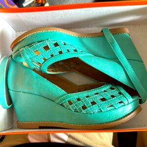 Aqua Beauties Perfect For A Party